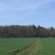 Kirch-Berg