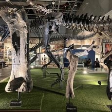 National Science Museum