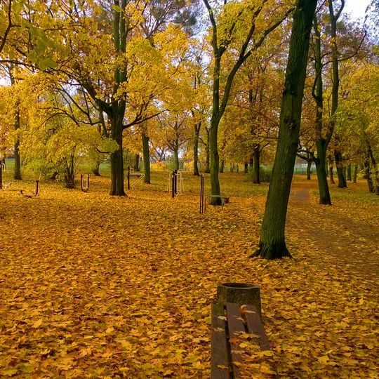 Park Waryńskiego w Toruniu