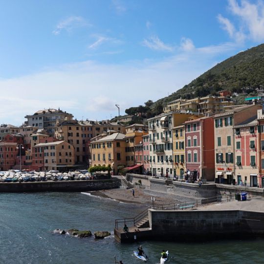 Nervi