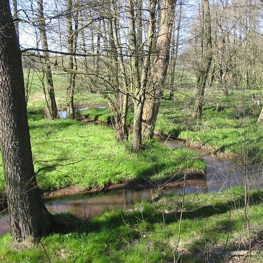 Grieboer Bach östlich Coswig