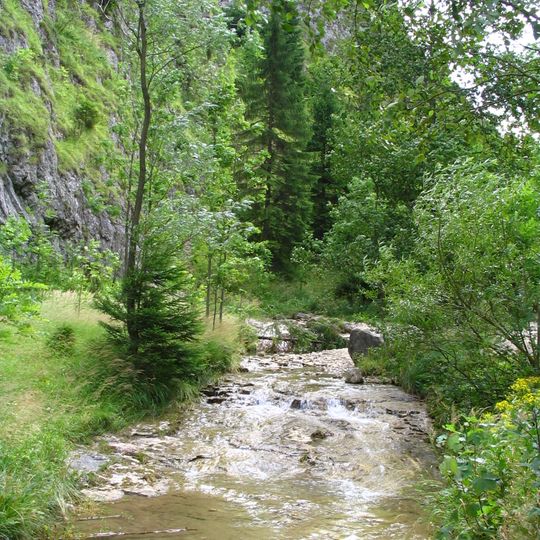 Rezerwat przyrody Wąwóz Homole