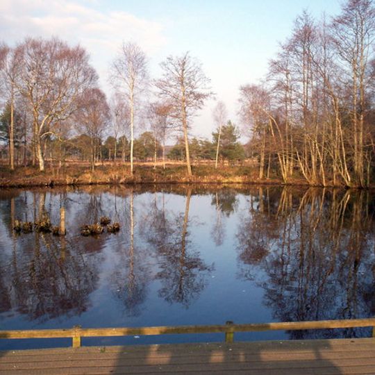 Peatlands Park Railway