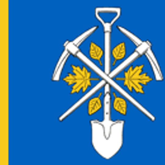 Центральное городское поселение