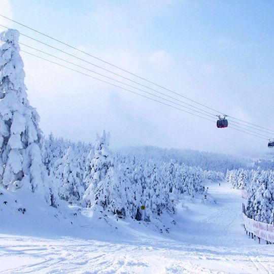 Yamagata Zao Onsen Ski Resort