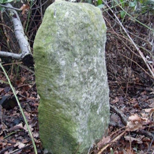 Milestone, by old footpath parallel to road within Belhus Woods Country Park