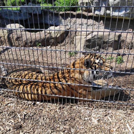 Rare Species Conservation Centre