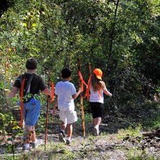 Etoniah Creek State Forest