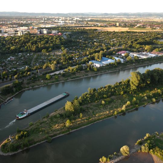 Unterer Neckar: Maulbeerinsel