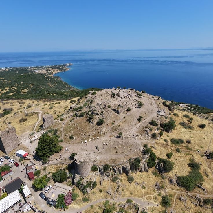 Assos
