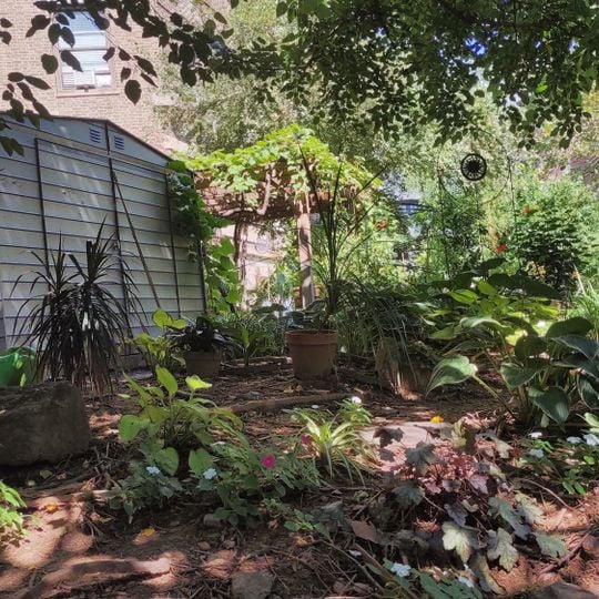 William A. Harris Garden