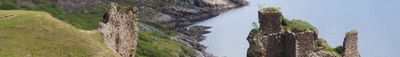 Panoramic View 1