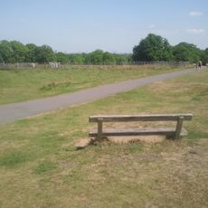 Scenic viewpoint