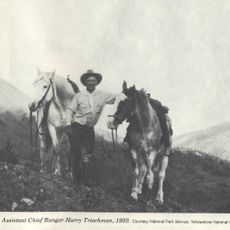 Trischman Knob