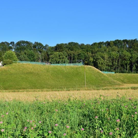 Kuhschellenböschung