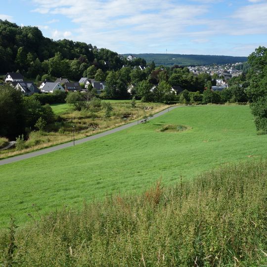 Ruhrtalflanke südlich Hardt / Eiserkaulen