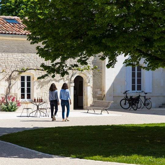 Cognac Guillon-Painturaud