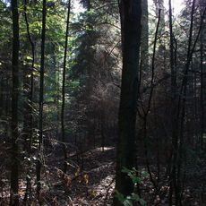 Nature reserve Łaznów