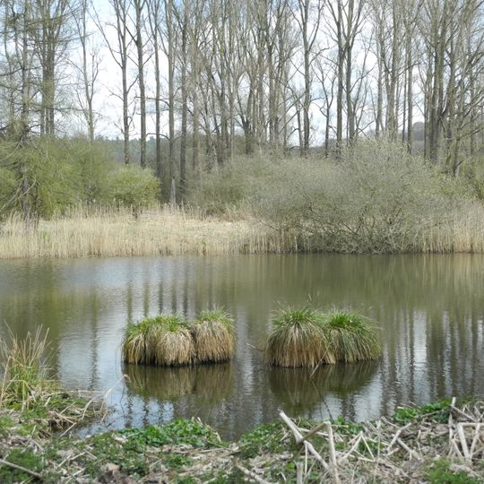 Hümmer Bruch bei Stammen