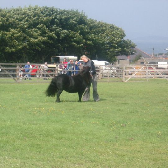 Pavilion, Bignold Park, Bignold Park Road, Kirkwall