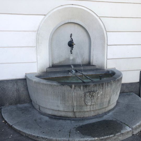 Brunnen Meierhofplatz