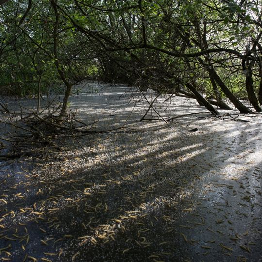 Beim Trunk - Dolnji Trink