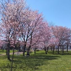 Yanagimachi Park