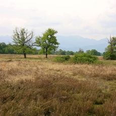 Riserva naturale orientata delle Baragge