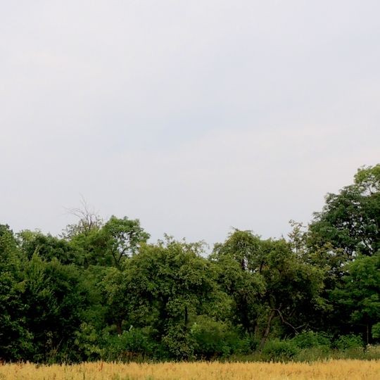 Manor park in Sułkowice Pierwsze