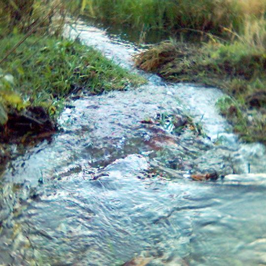 Palono botaninis draustinis