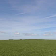 Round barrow SE of Down Linhay
