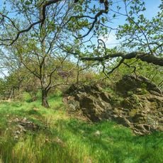 Rock cliffs on Großer Steinberg, Clanzschwitz