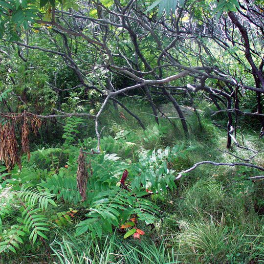 Odiorne Point State Park
