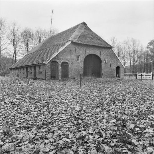 Vogelensang: grote bijschuur