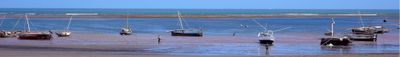 Panoramic View 0