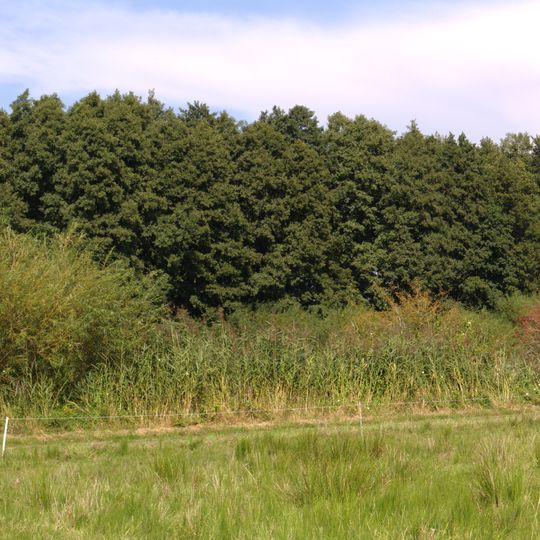 Im üblen Ried bei Wallernhausen