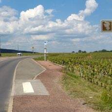 Route des Grands Crus