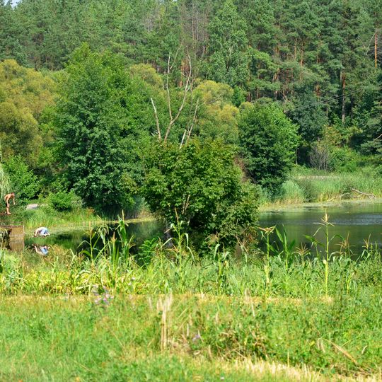 Суразька дача