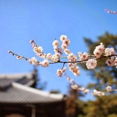 宥勝寺