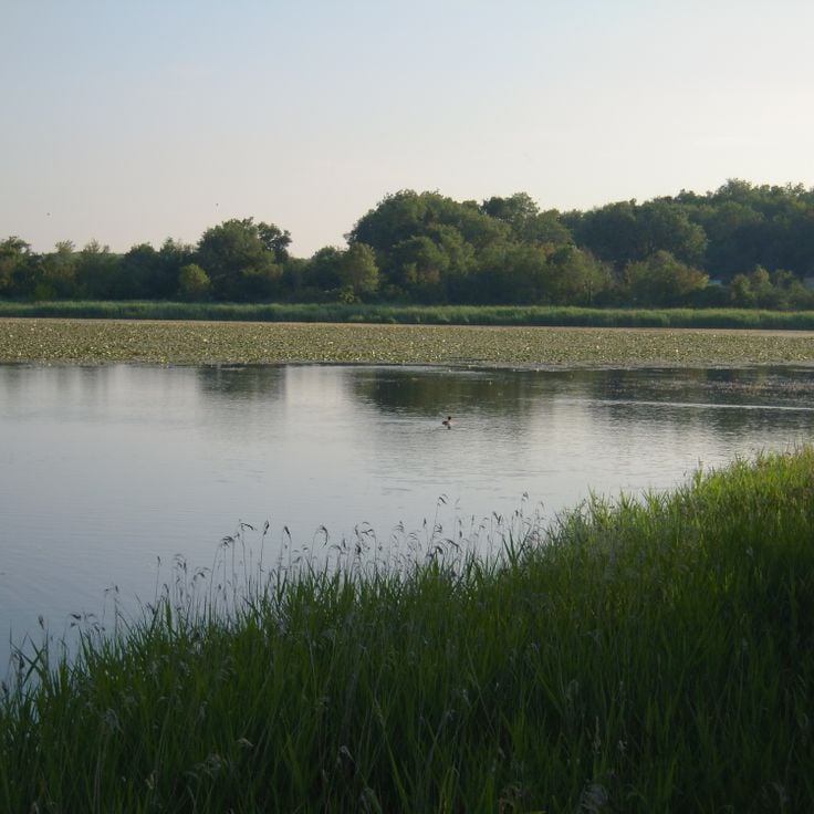 Brenne Regional Nature Park