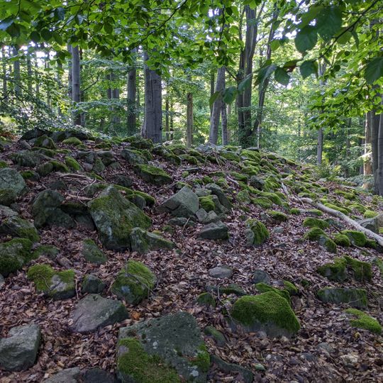 Hradiště Velký Blaník