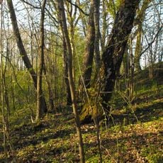 Meņģi hillfort