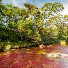 Caño Cristales