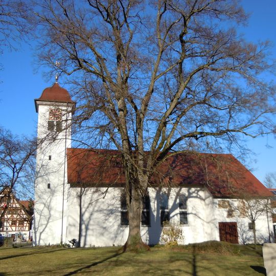 Linde bei der Kirche