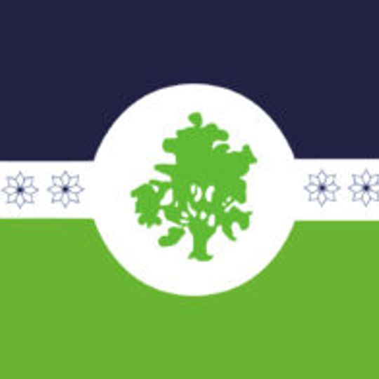 Partido di Coronel Suárez