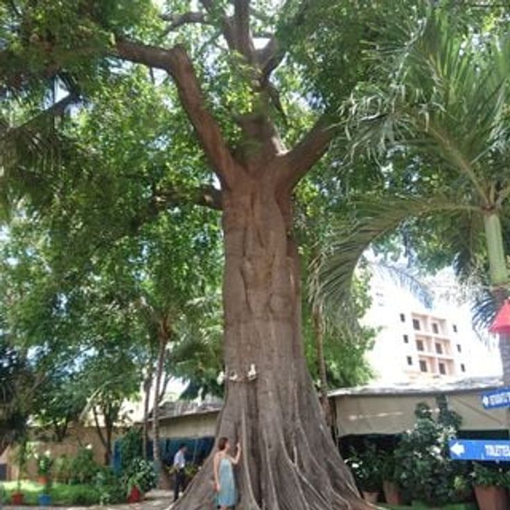 Institut français Sénégal