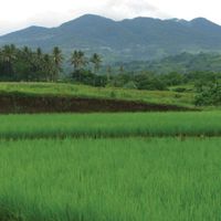 provincia di Cagayan