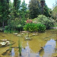 Arboretum in Adler