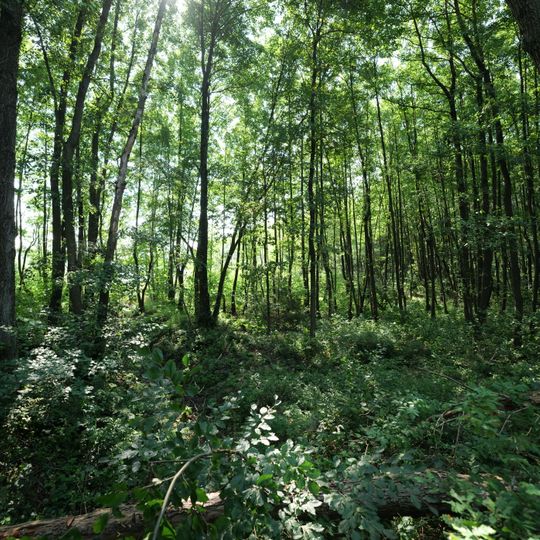 Kastavenseen-Molkenkammersee