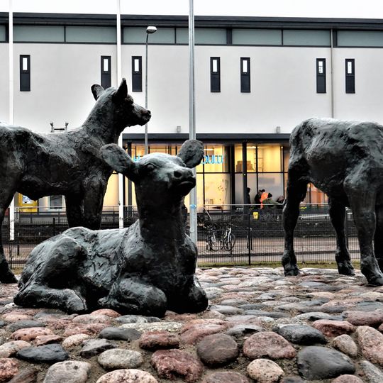 Aamulla / In the morning